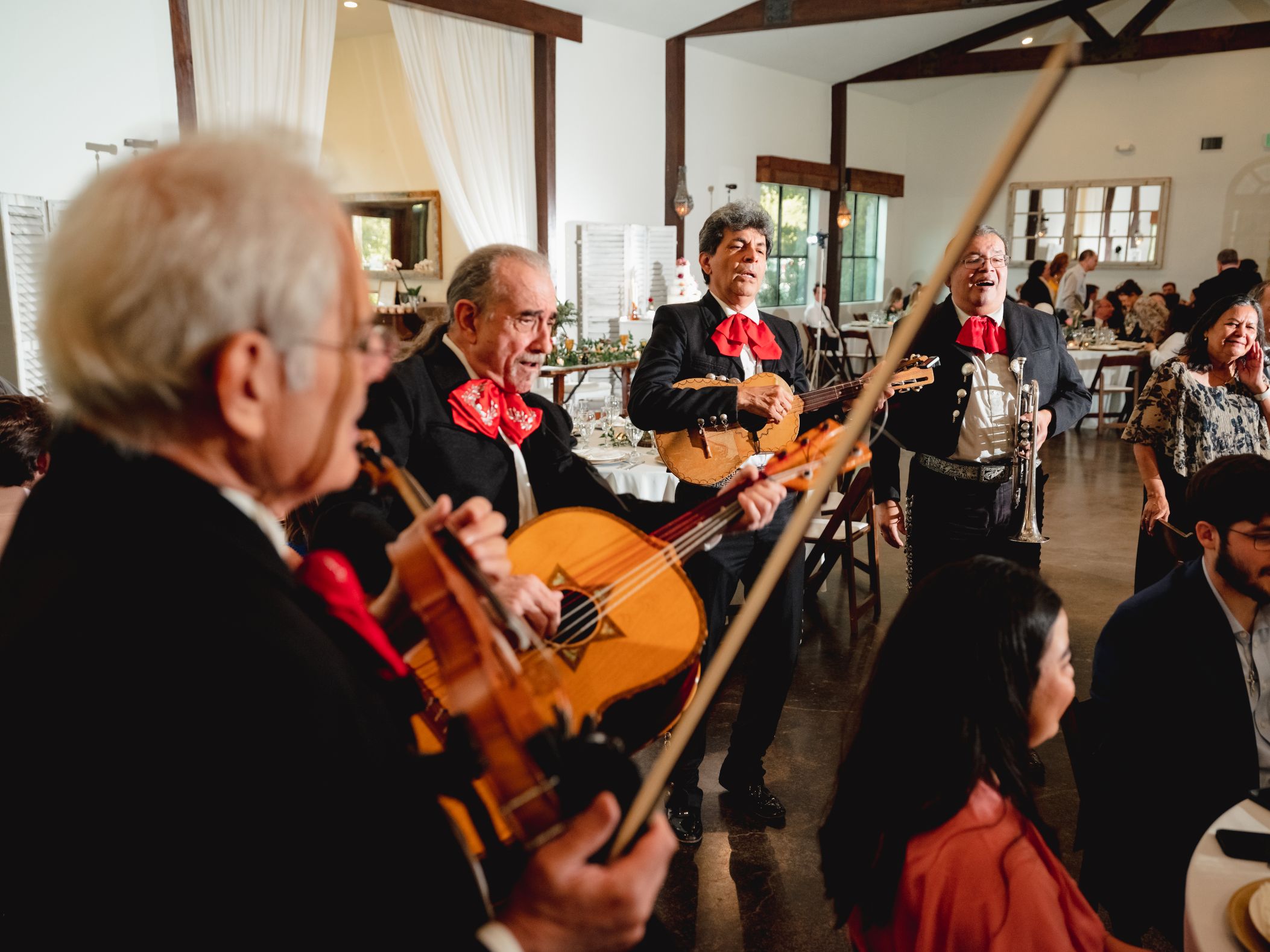Mariachi band plays music during reception at Pecan Spring Ranch wedding venue in Austin, Texas. 