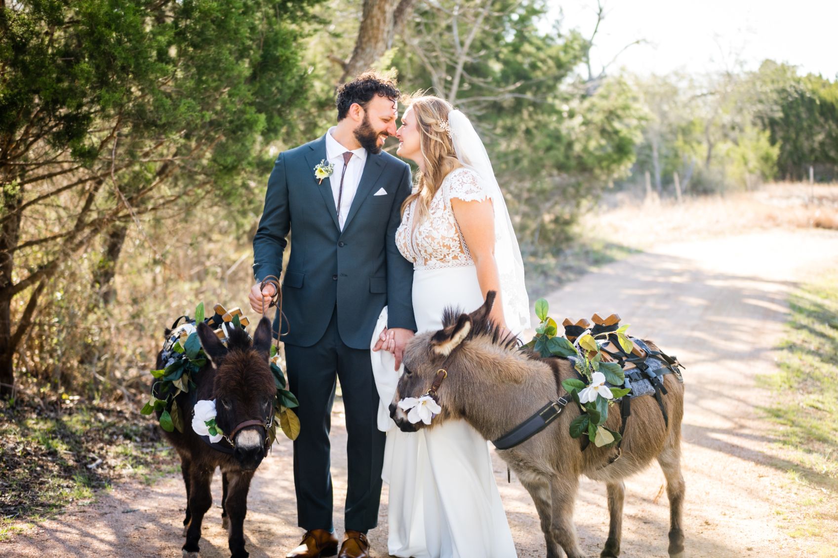 Bide and groom kiss while they walk two donkies on a dirt path at Pecan Springs Ranch wedding venue. 
