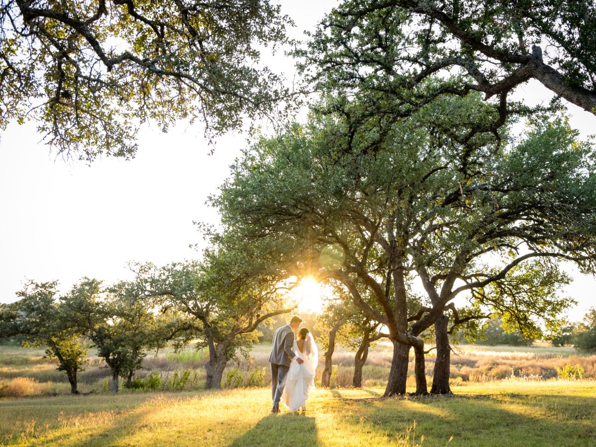 Bride and groom walk into distances under large oak tress with orange, warm sunset on the horizon.