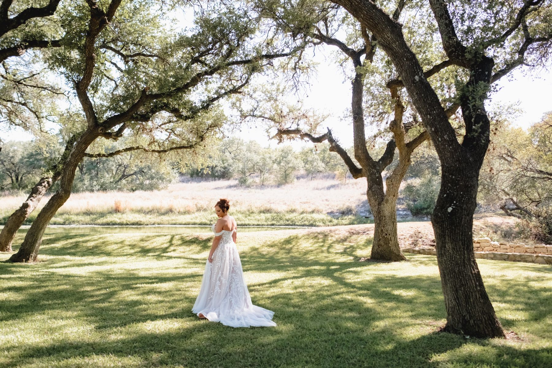 Bride walks away, looking down over her shoulder in a green lawn with large oak trees at the Addison Grove in Austin, Texas.